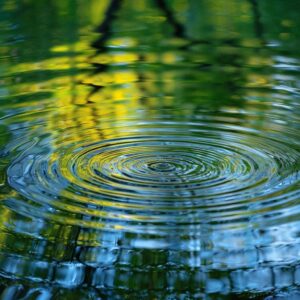 Krąg Nowej Energii - subskrypcja na 6 miesięcy