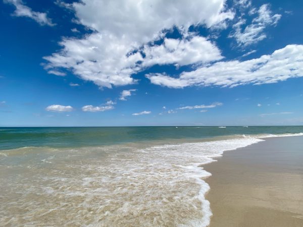 glowne-zalozenia-szkoly-nauczycieli-swiadomego-zycia